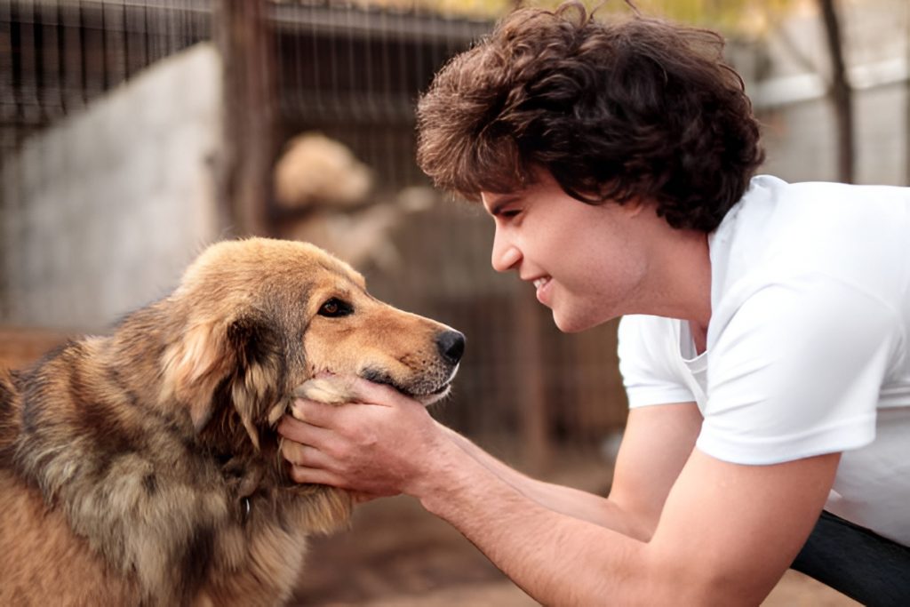 volunteer playing with a dog