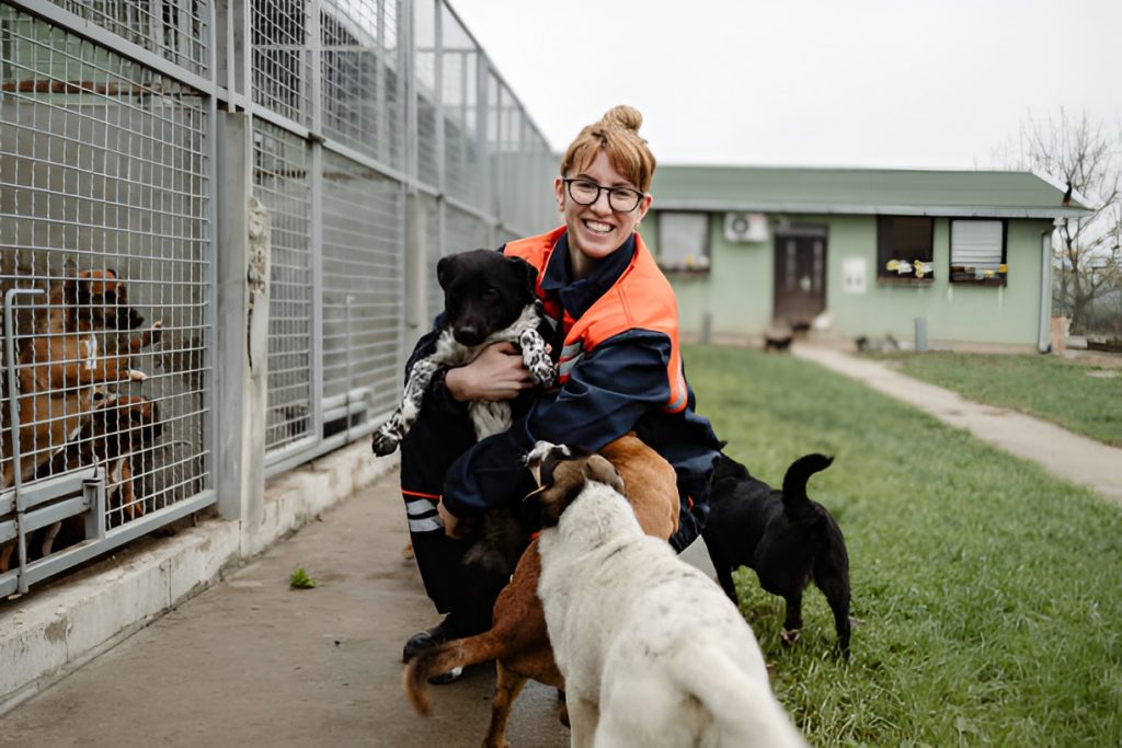 smiling volunteer hugging dogs in an animal shelter